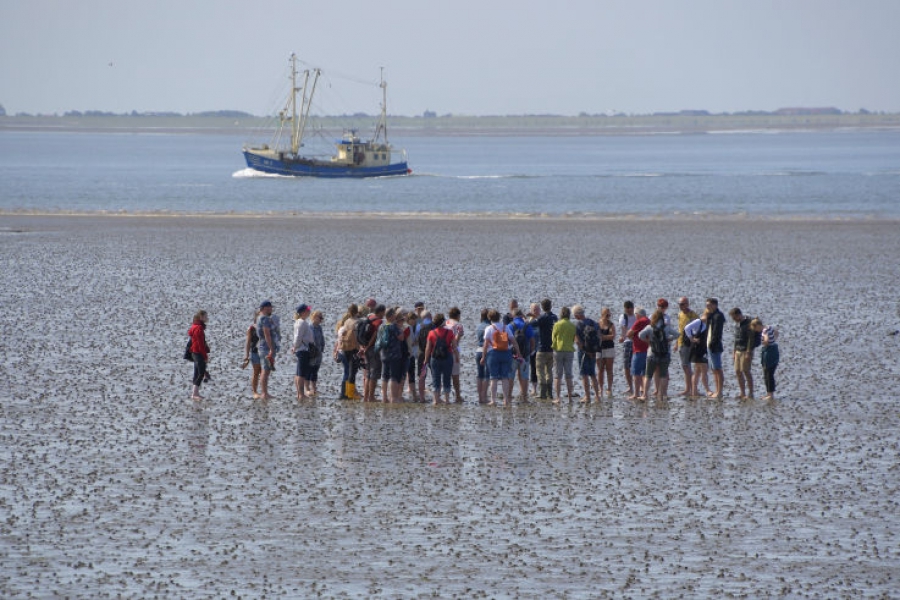 Strand und Wattenmeer